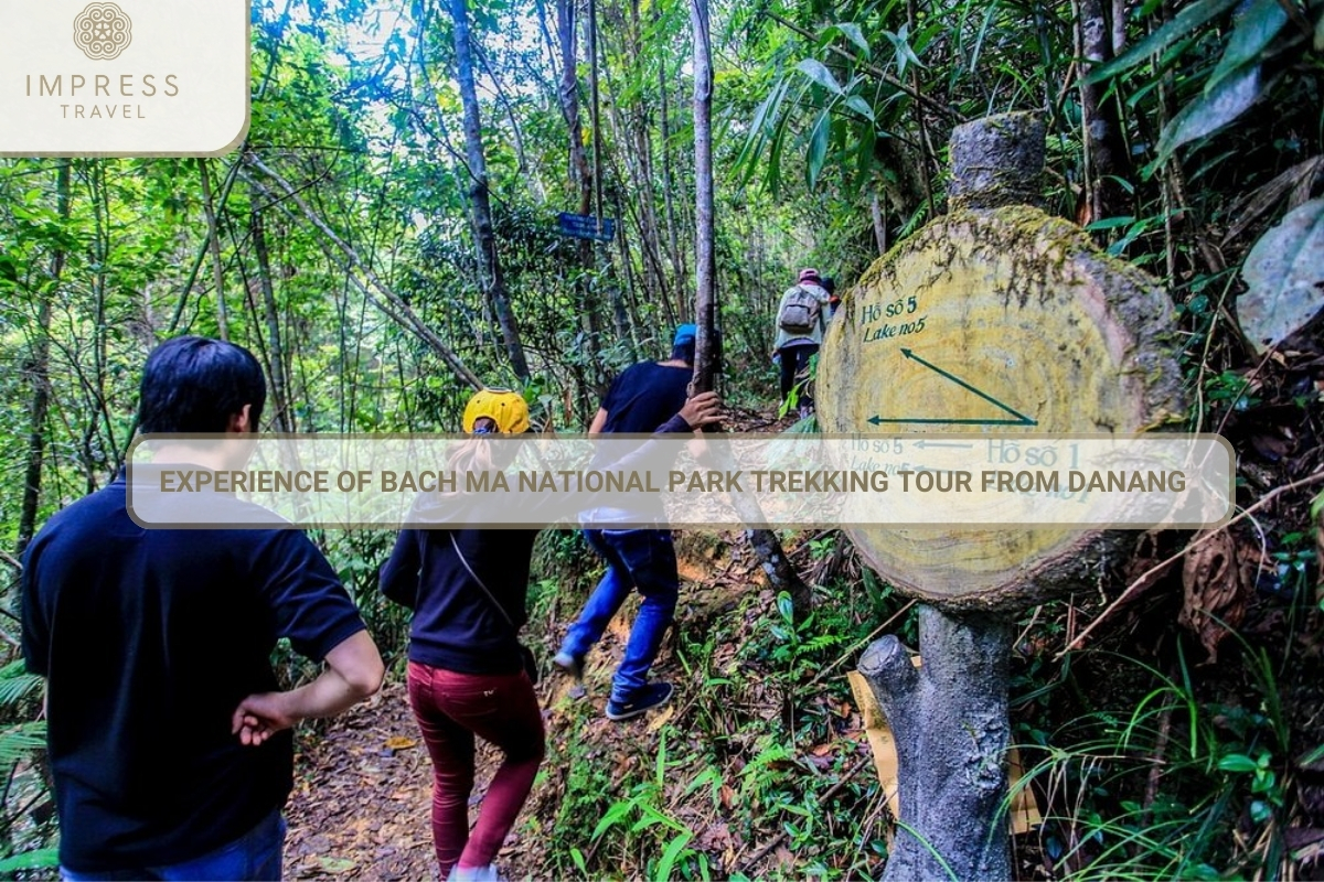 Experience Of Bach Ma National Park Trekking Tour From Danang