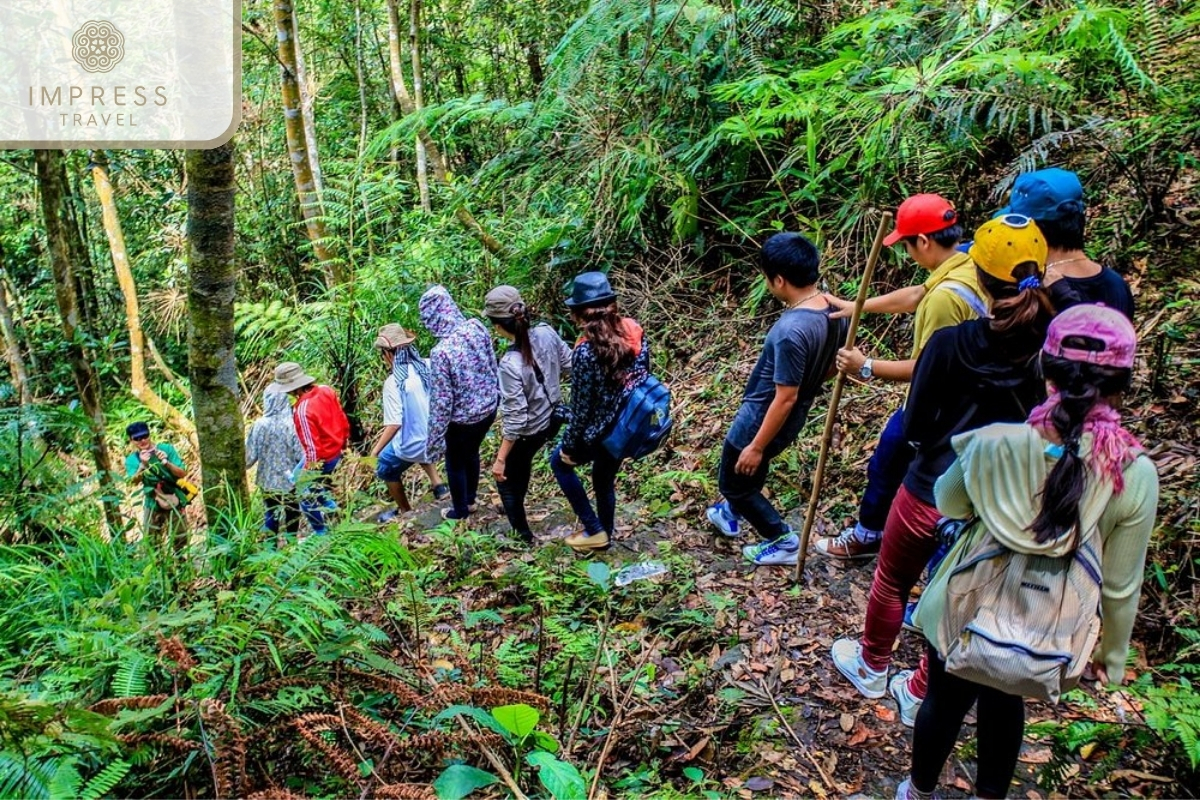  Bach Ma National Park Trekking