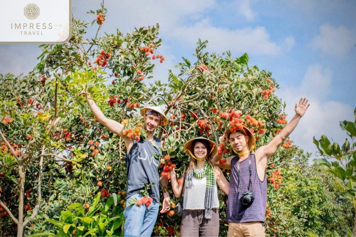 Visit and enjoy the fruit garden in Thanh Binh Market on the My Tho Local Tour 