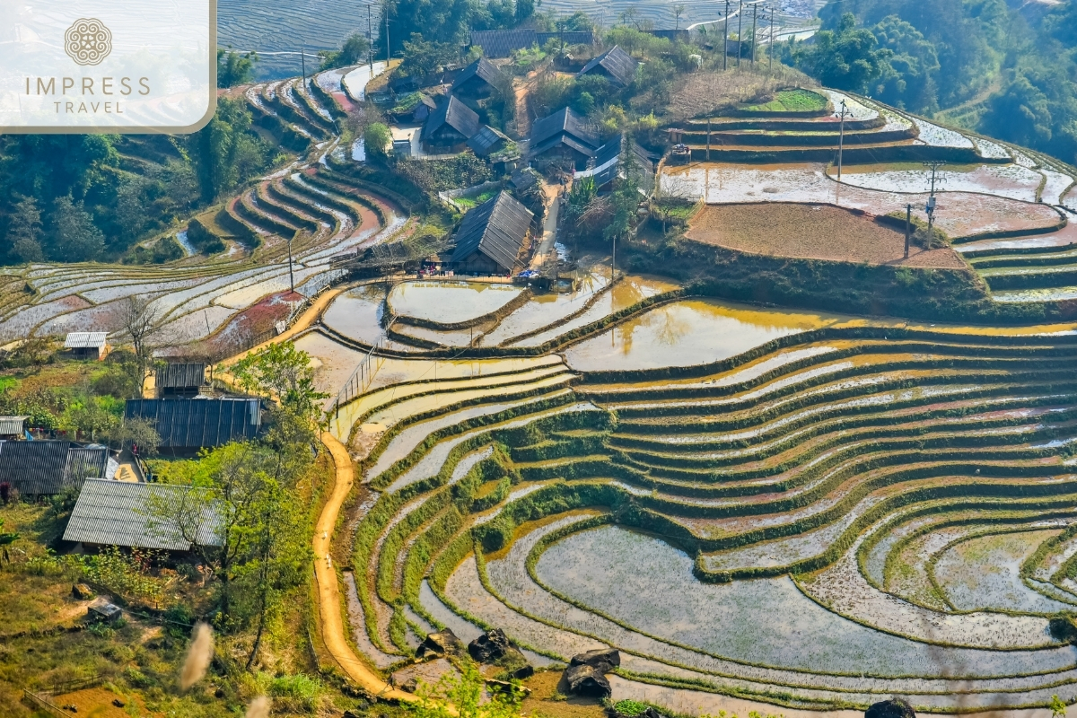 Admire the terraced fields in Ethnic Minority Market with a Sapa Tour