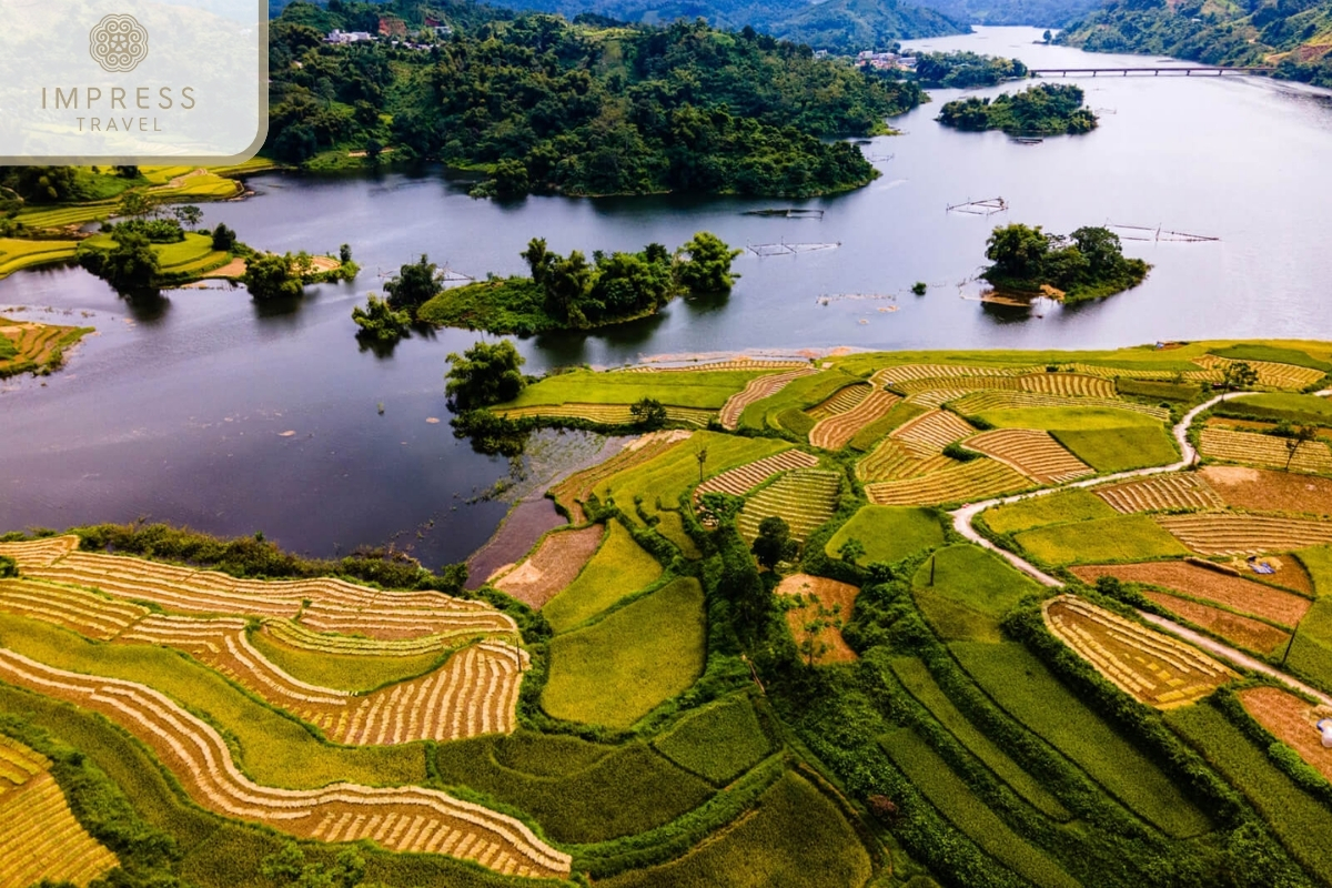 Tuyen Quang in terraced fields of Hoang Su Phi