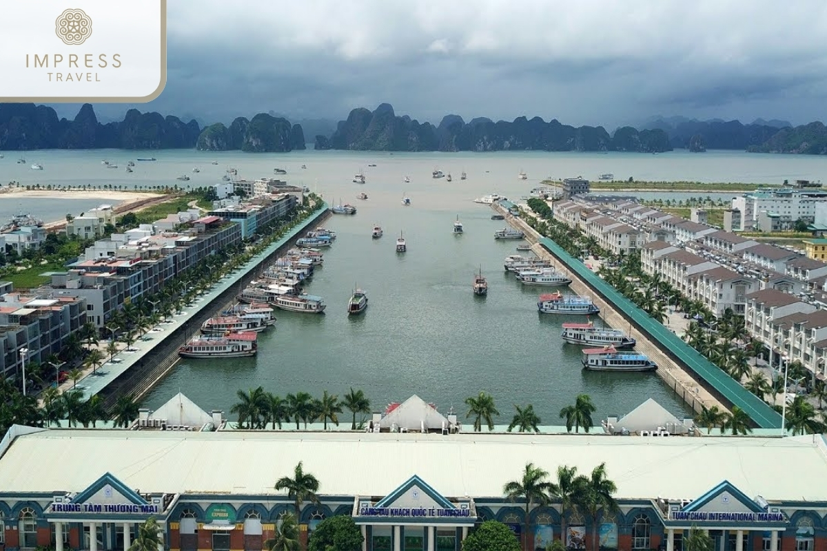 Tuan Chau Harbor in Halong Bay with an Exciting Kayak Tour