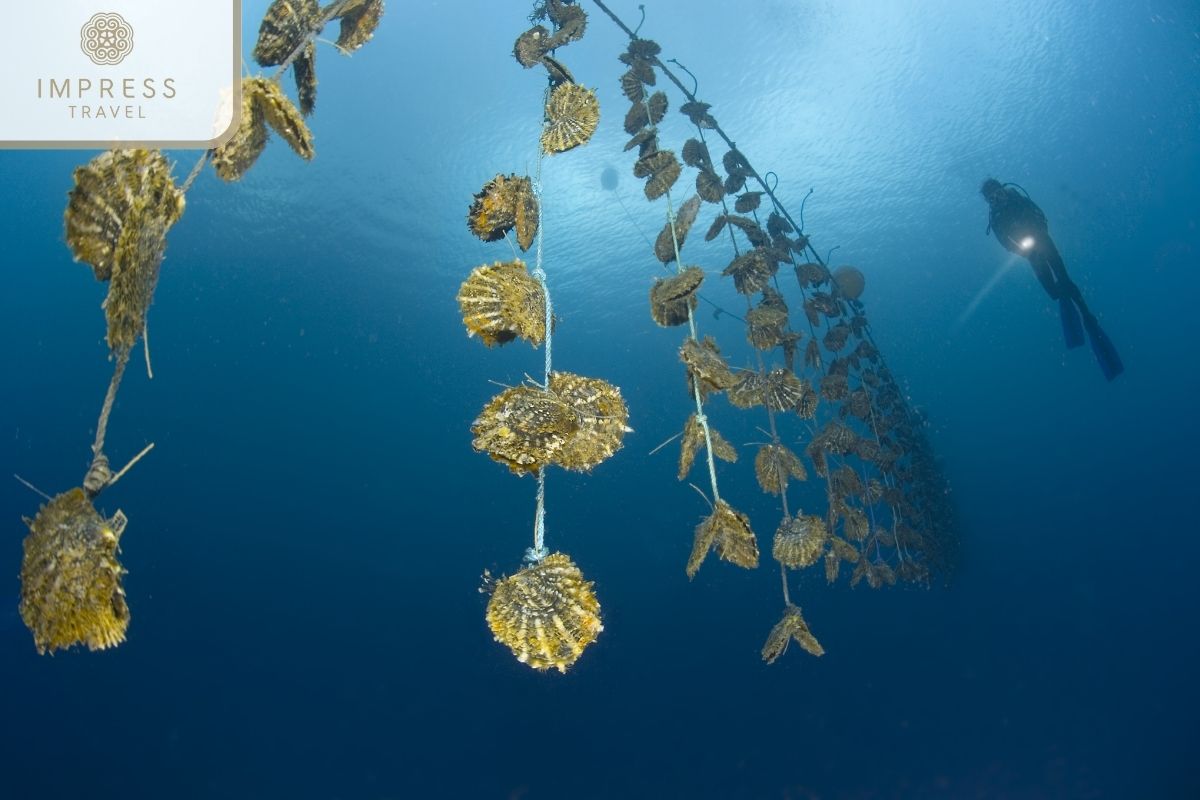 Local Pearl Farm in Ham Ninh Fishing Village on a Phu Quoc island