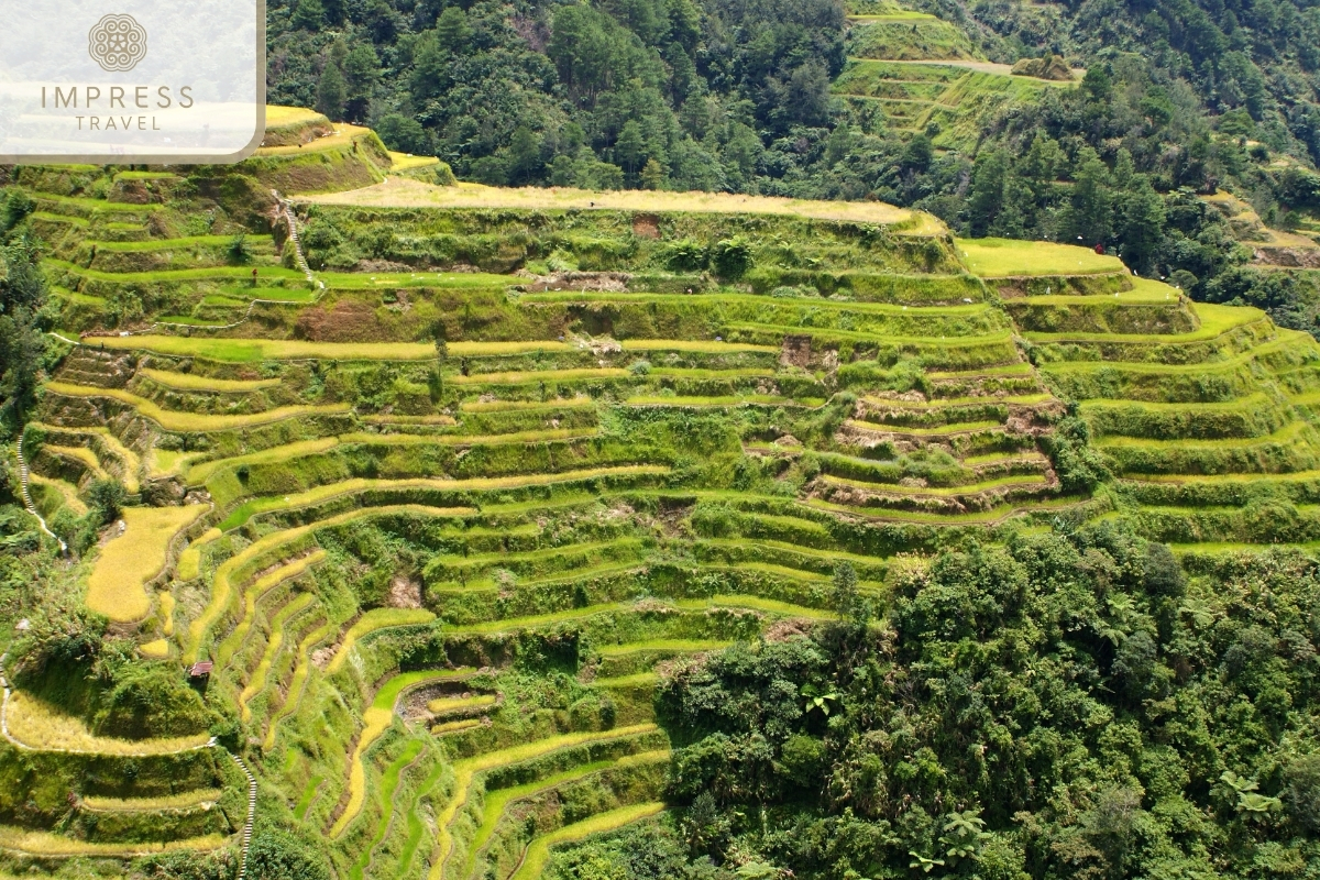 Rice Terraces in Pu Luong Rice Terraces in Ban Cong Village