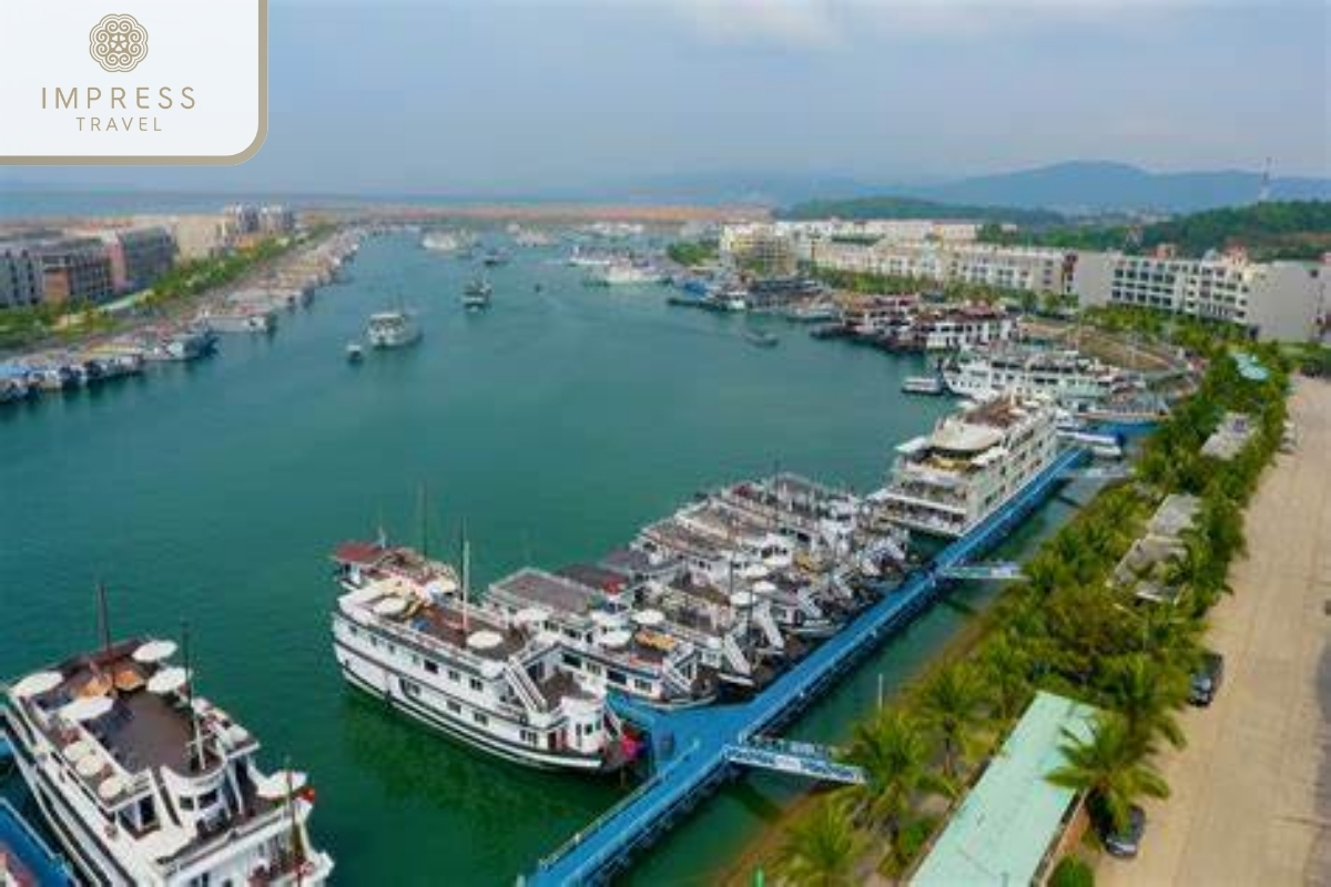 Tuan Chau Harbor in Sung Sot Cave with a Halong Bay Boat Tour