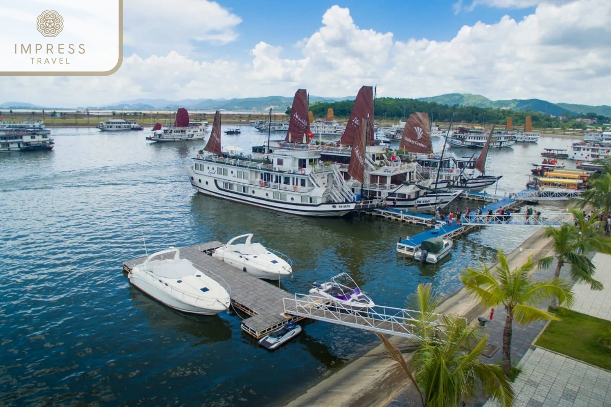 Tuan Chau Port in Trinh Nu Cave with the Halong Tour