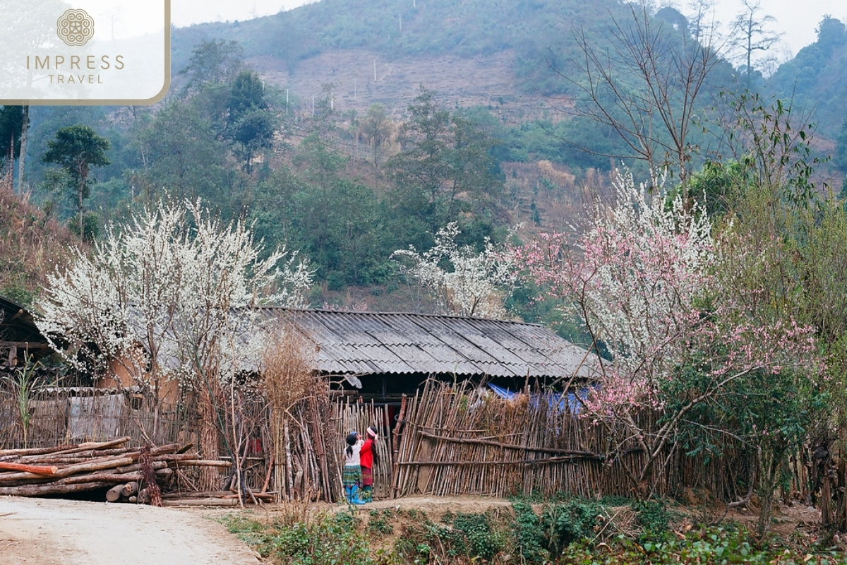 Pho Cao in Ha Giang Adventure Tour