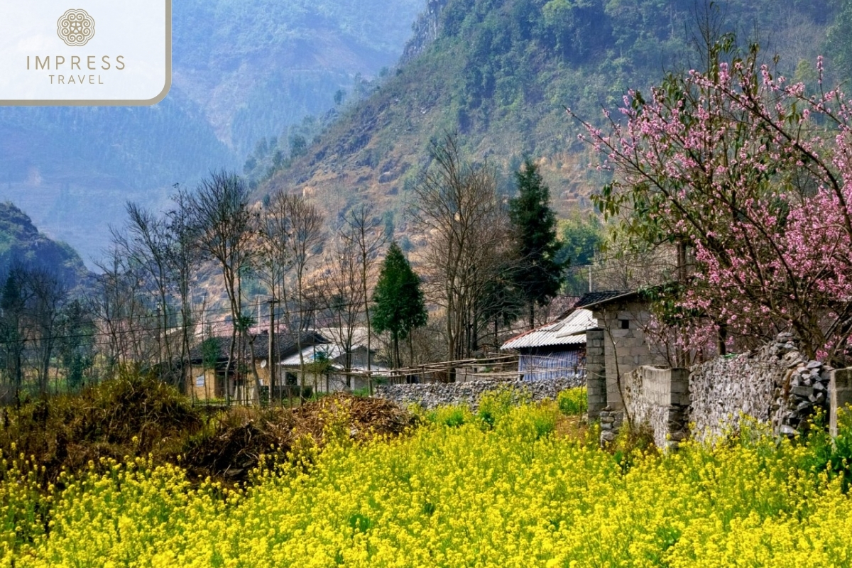 Sung La village in Ha Giang Adventure Tour