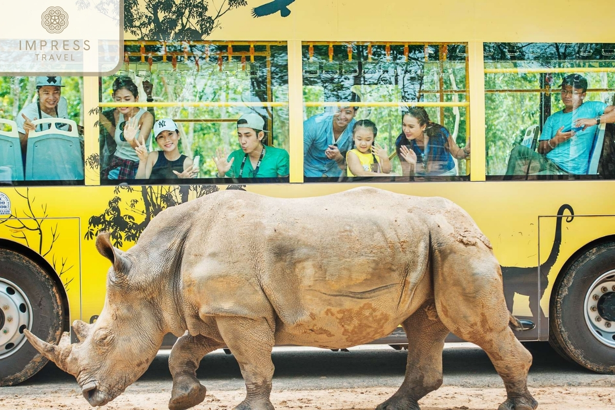 Safari Bus Ride in Vinpearl Safari for School Tours