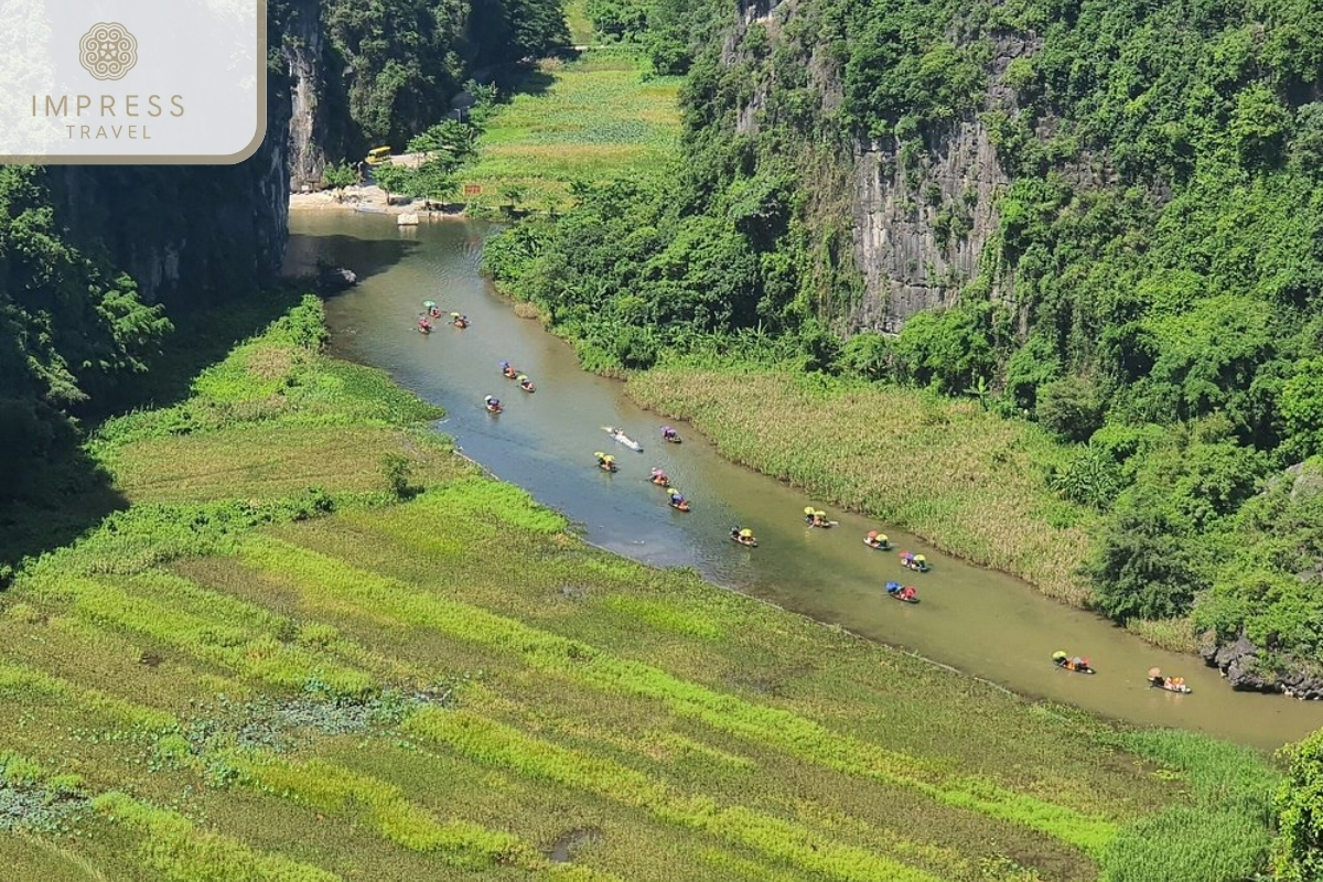 Tam Coc Boat Trip in Hang Mua Ninh Binh Tour