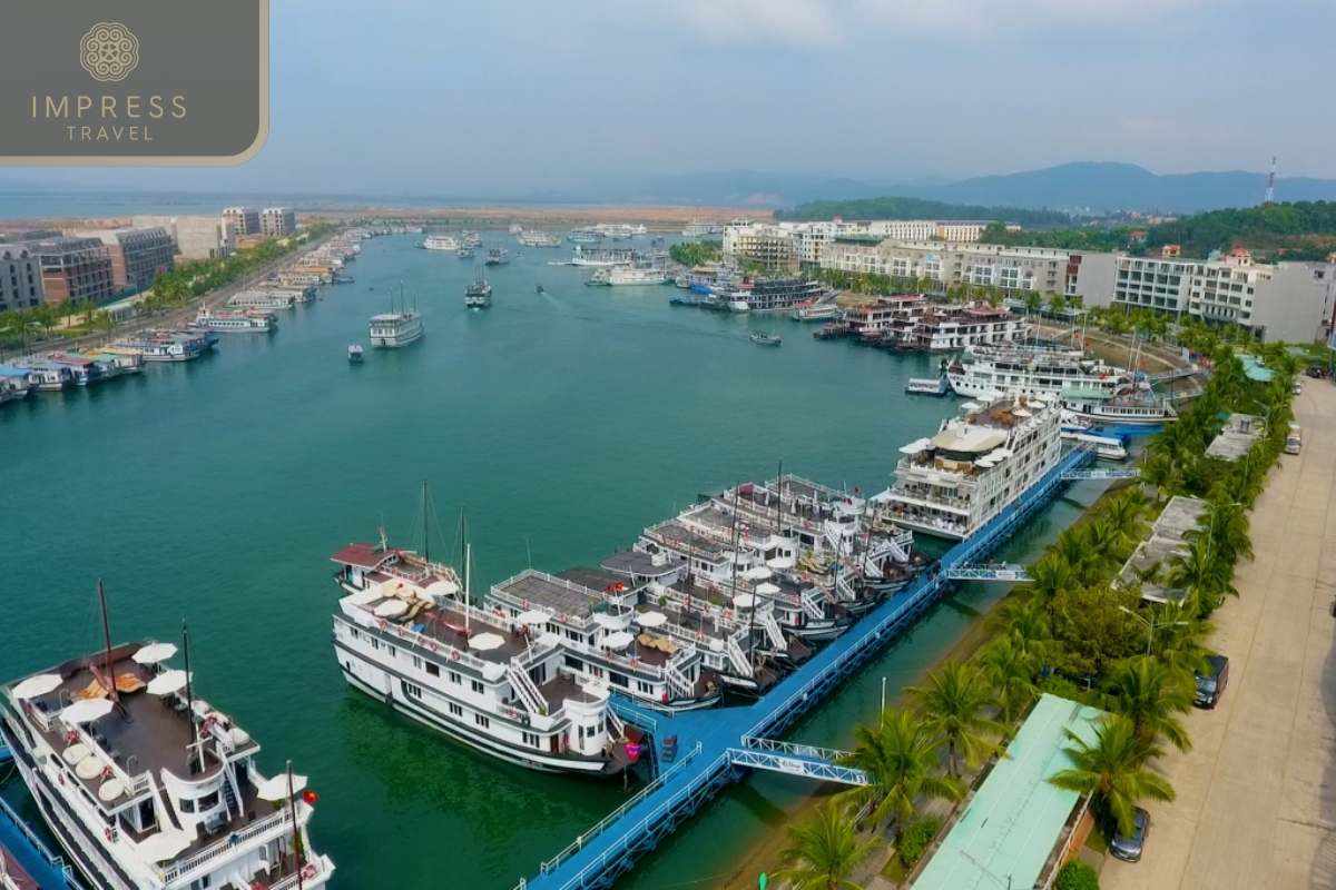 Tuan Chau Wharf in A Journey to the Ancient Tien Ong Cave