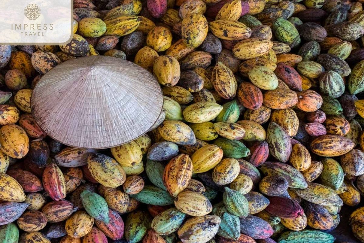 Muoi Cuong Cocoa Garden