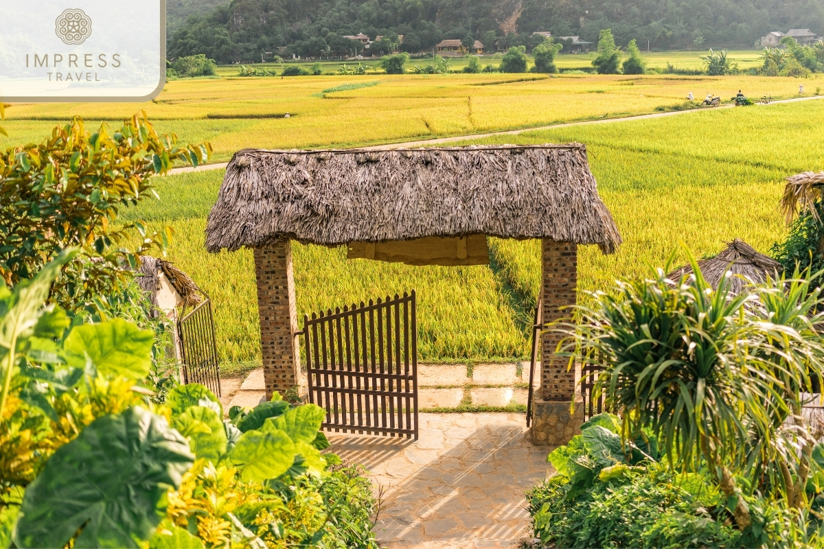 Spring in perfect weather for a Mai Chau tour