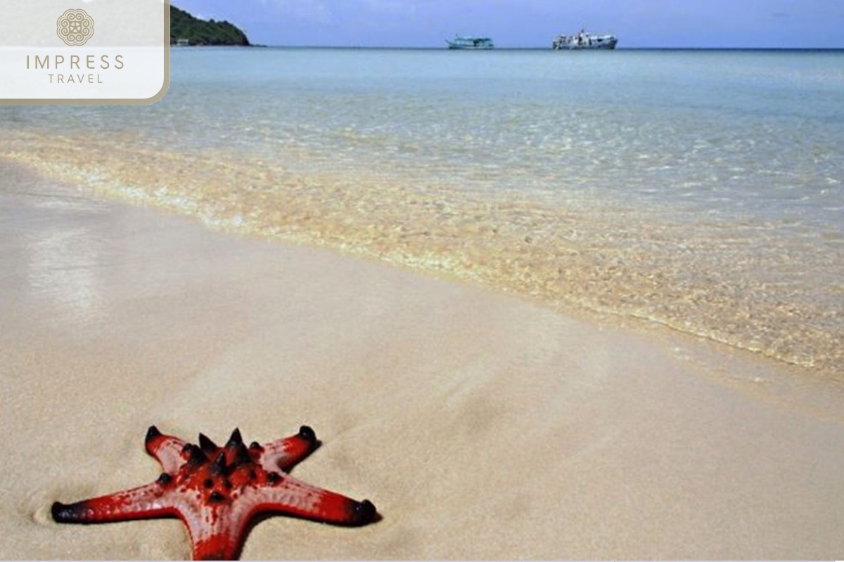 Relax on the beach in snorkeling at Starfish Beach Phu Quoc