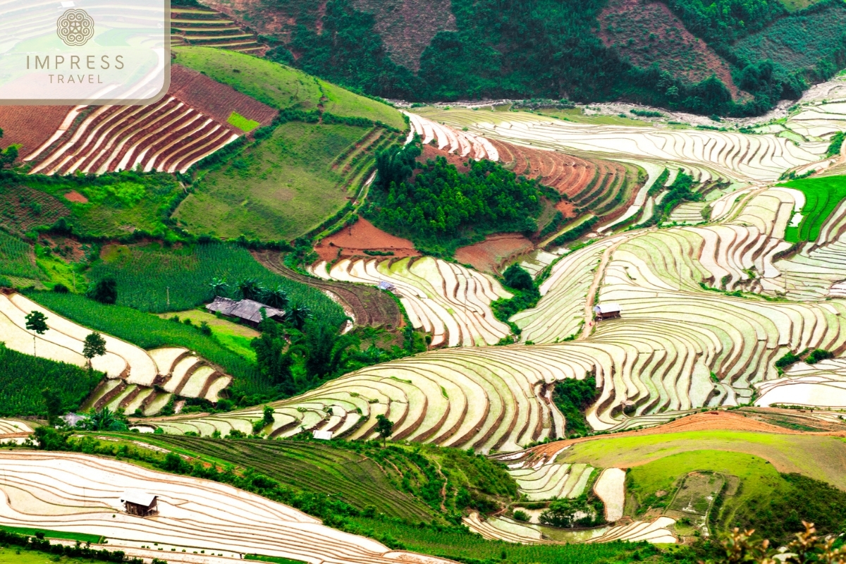 Peaceful nature in Adventure Tour to the Rice Terraces