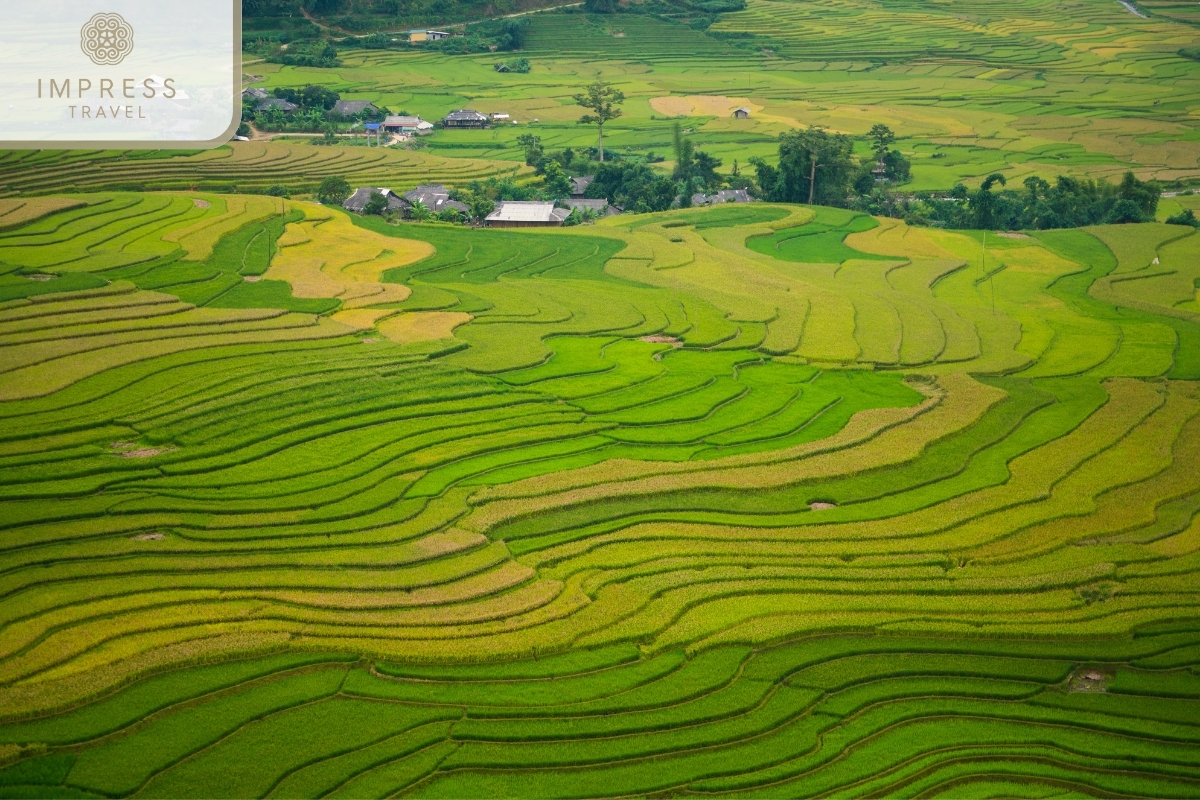 Admire the lush green fields