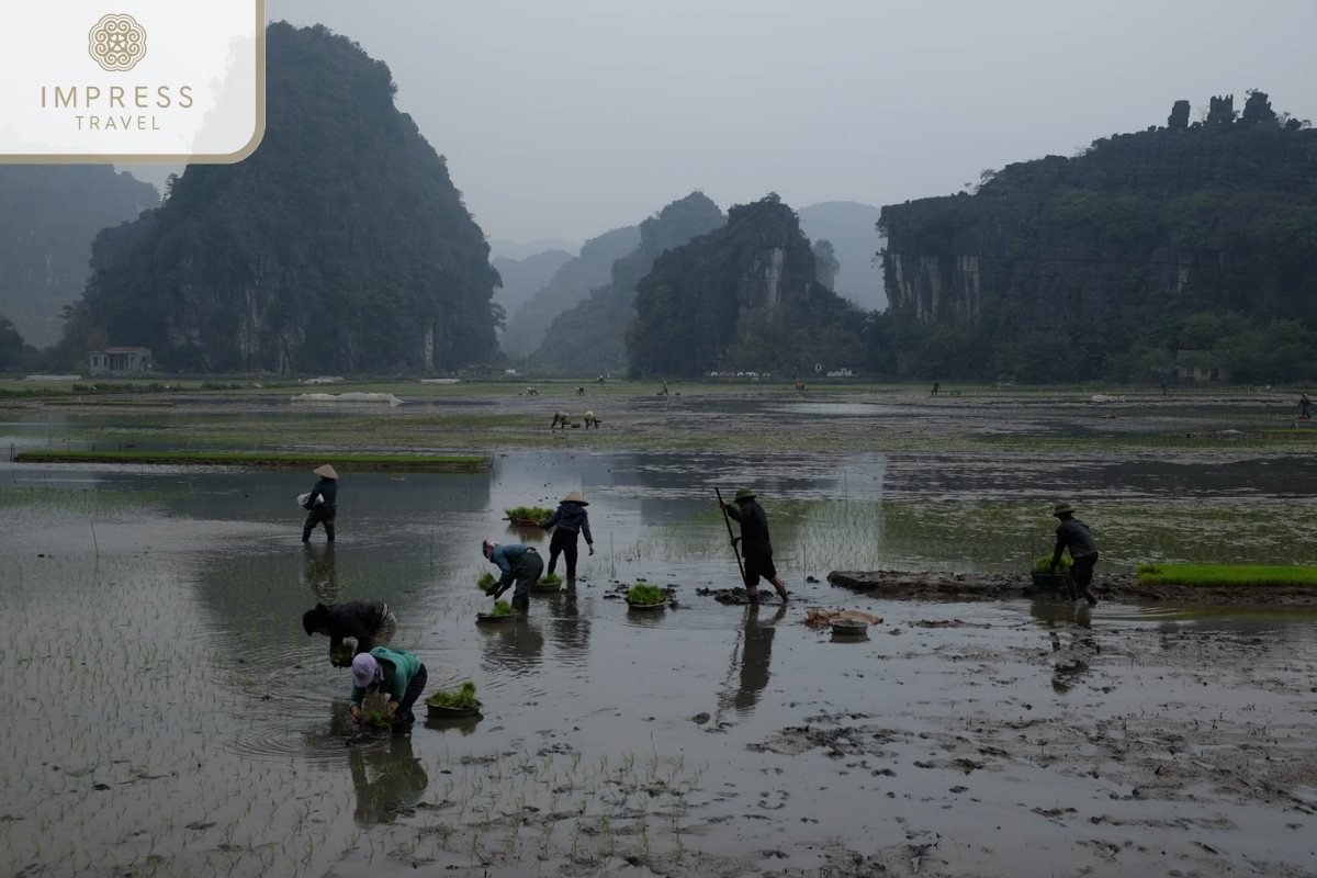 Ninh Binh in Winter