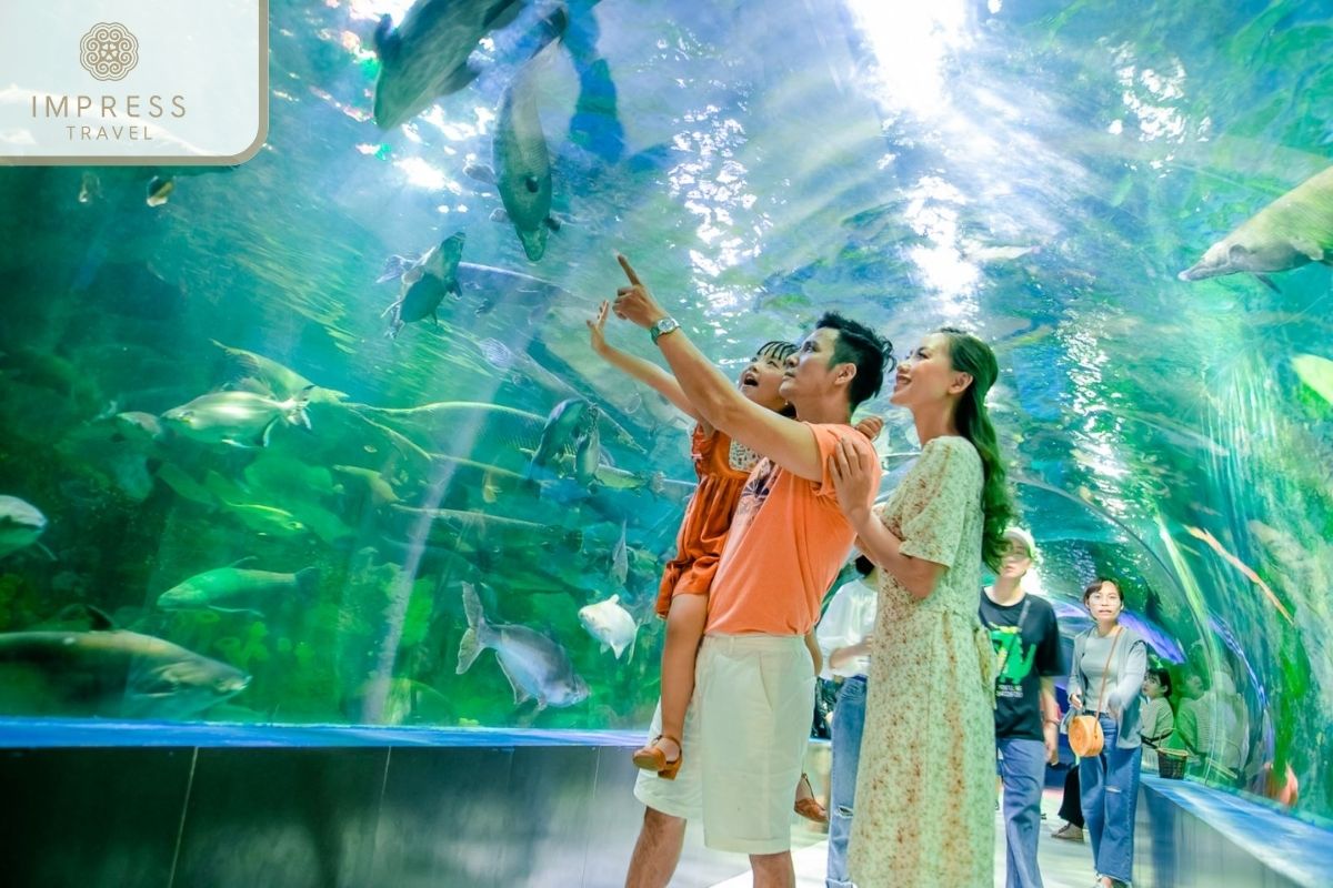 Aquarium Exploration in Thien Duong Bao Son Theme Park