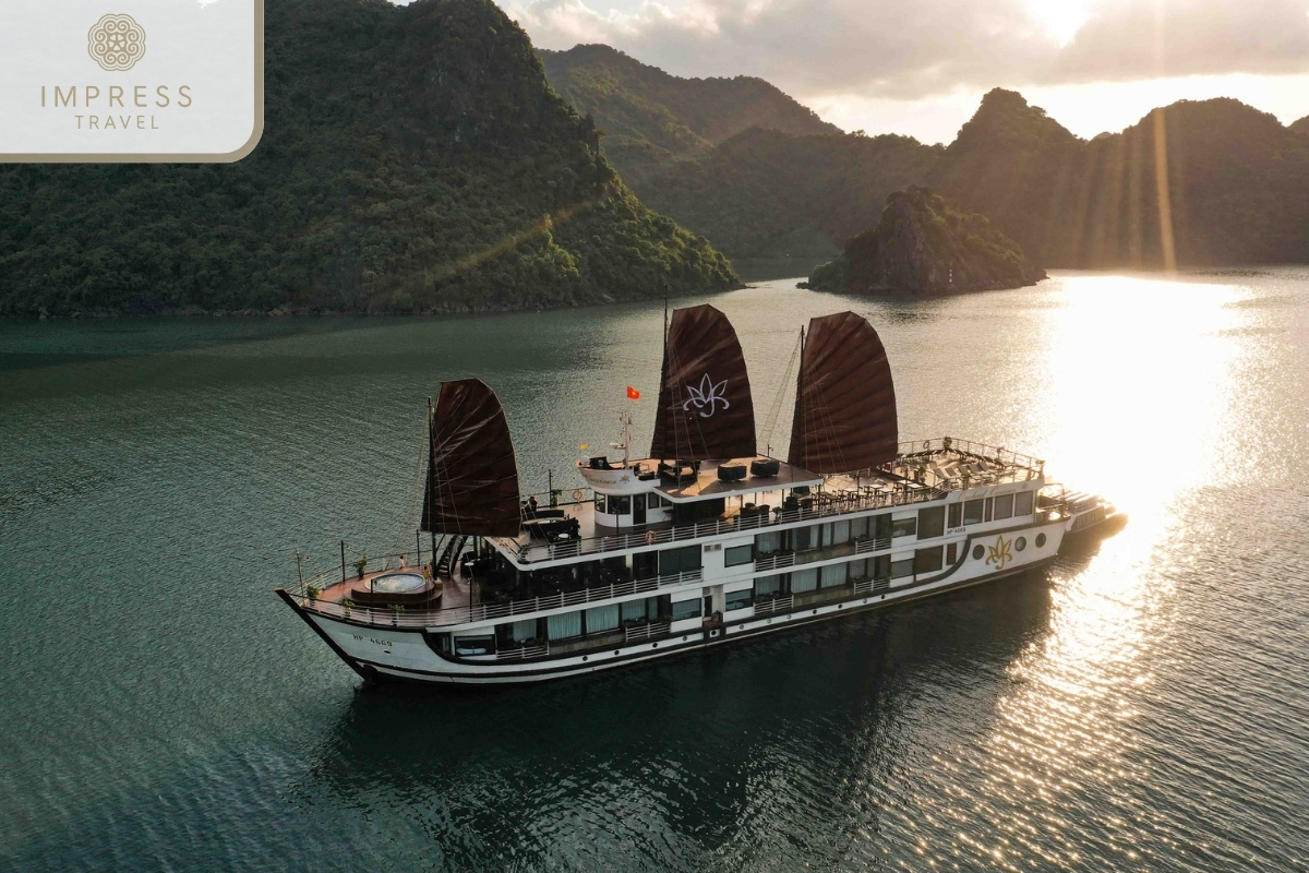 Orchid Classic Cruise in Five-Star Cruise for Halong Tours