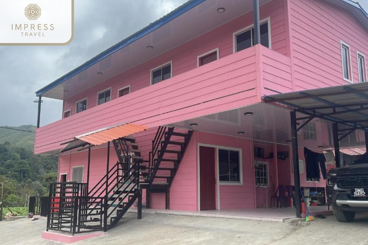 Pink Homestay