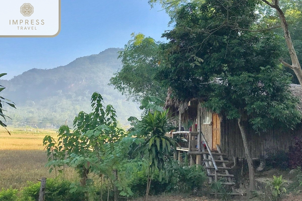 Little Mai Chau Homestay