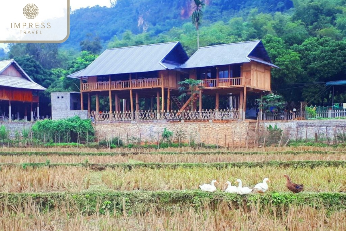 Meadow Mai Chau Homestay