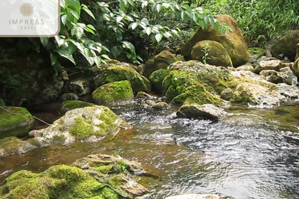 Pung Stream in Unique Trekking Experience at Luot Village