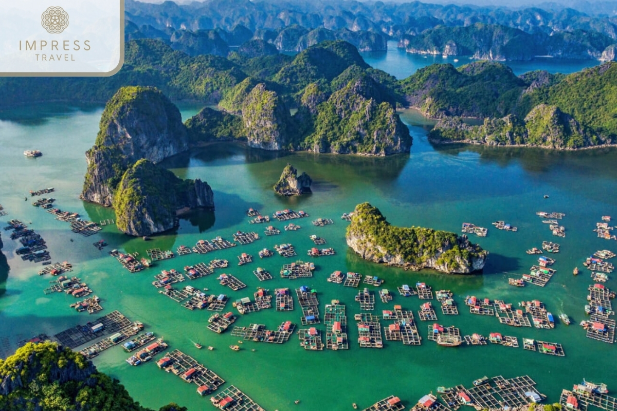 Vung Vieng Floating Fishing Village in Visit Halong Bay's Floating Fishing Village 