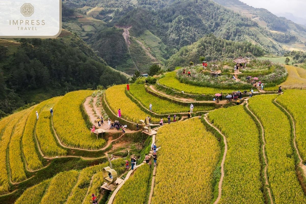 Mam Xoi Viewpoint in Mu Cang Chai Tours