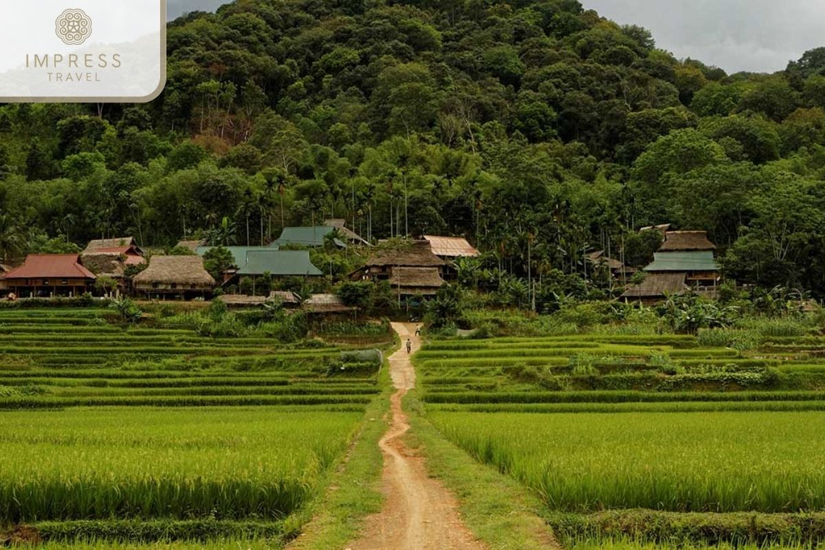 Pu Luong Nature Reserve