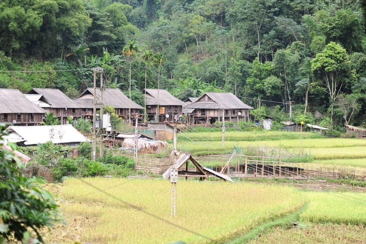 Bang Village Pu Luong Trekking and homestay tours