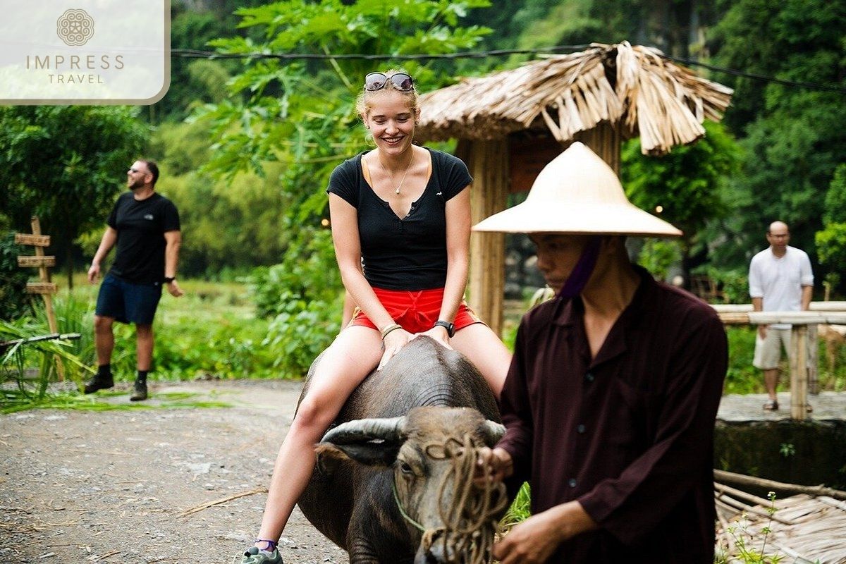 Buffalo Riding in Buffalo Cave 