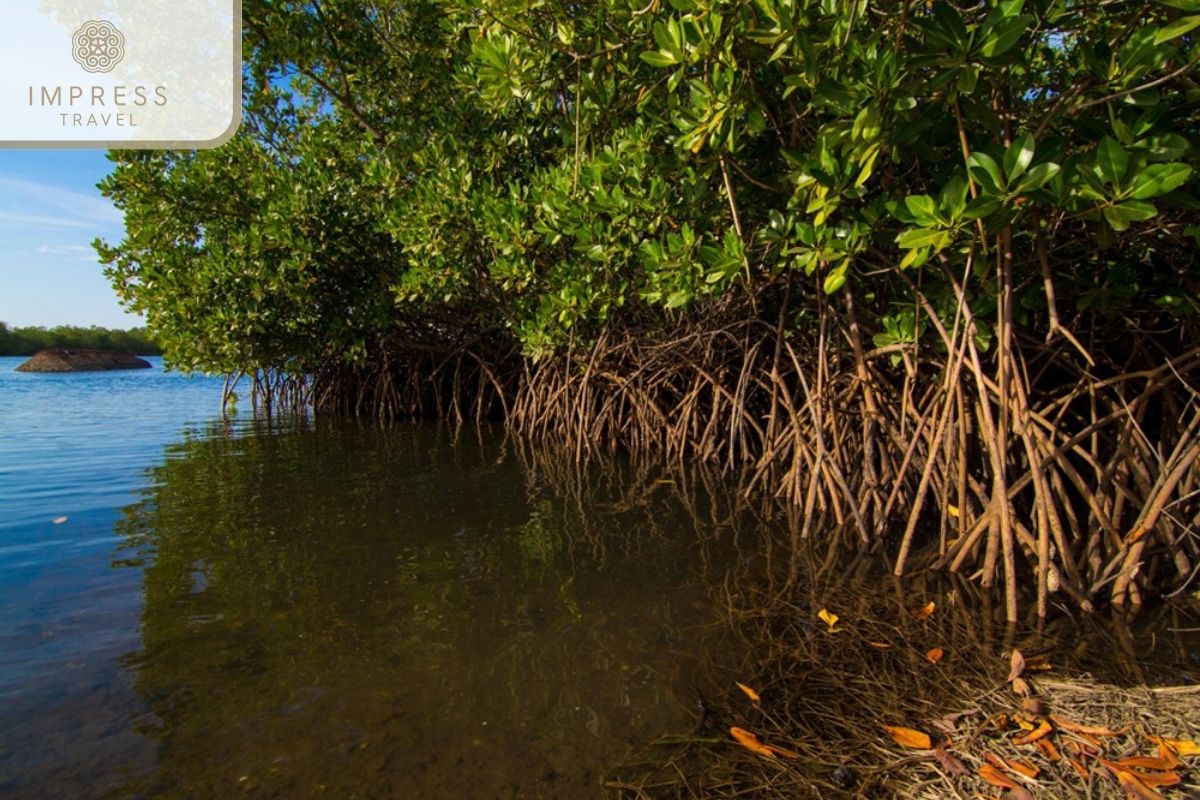 Bung Island in Eco Ben Tre Mekong Tours