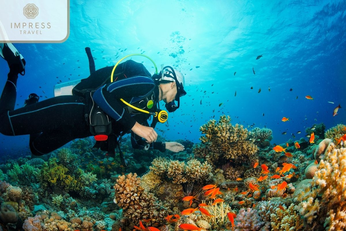 Snorkelling in Phu Quoc Diving Tours