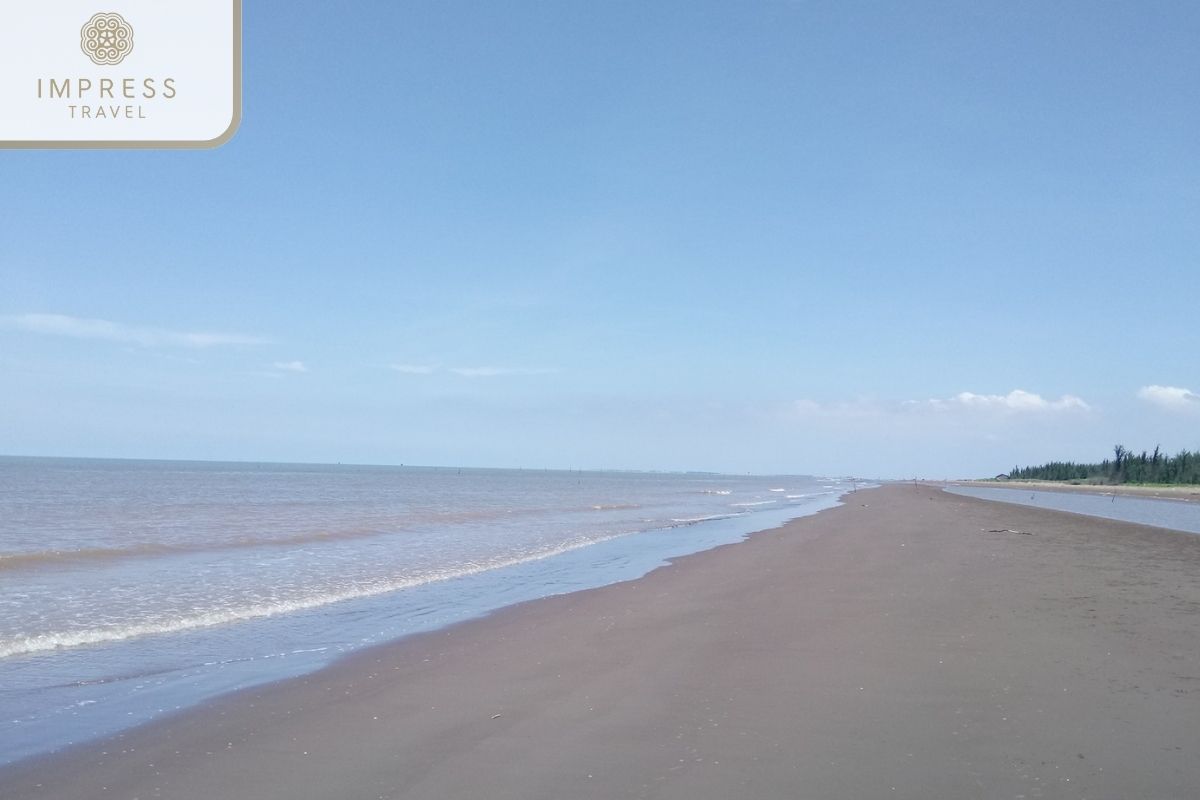 Con Bung Beach in Coastal Ho Chi Minh Trail Park in Ben Tre