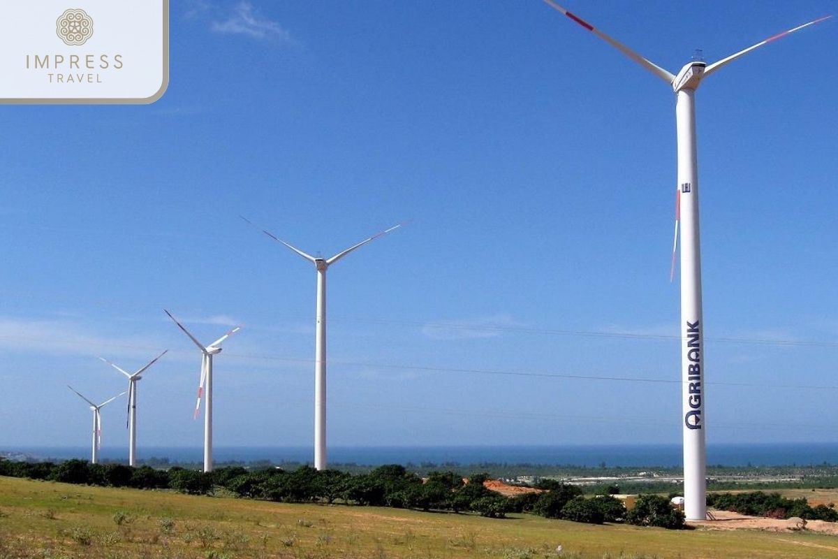 Wind Farm Experience at Thanh Phu