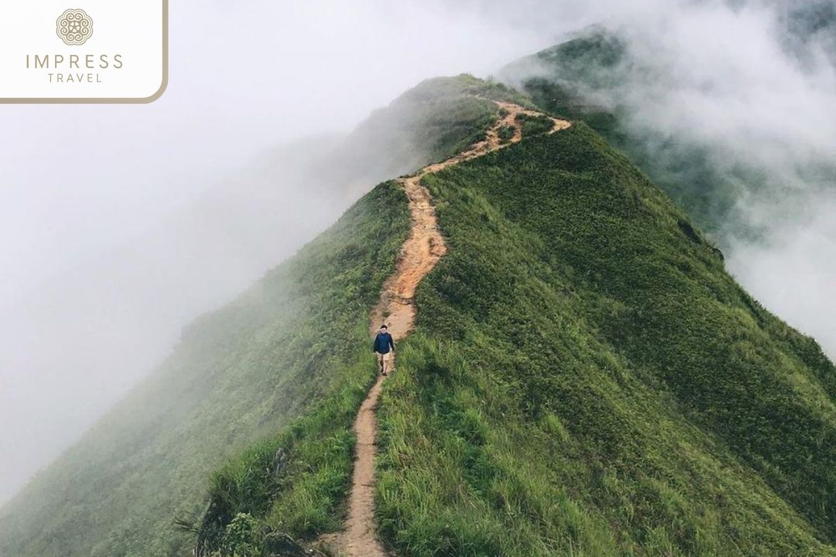 Dinosaur Spine peak in Mu Cang Chai Hike Tours