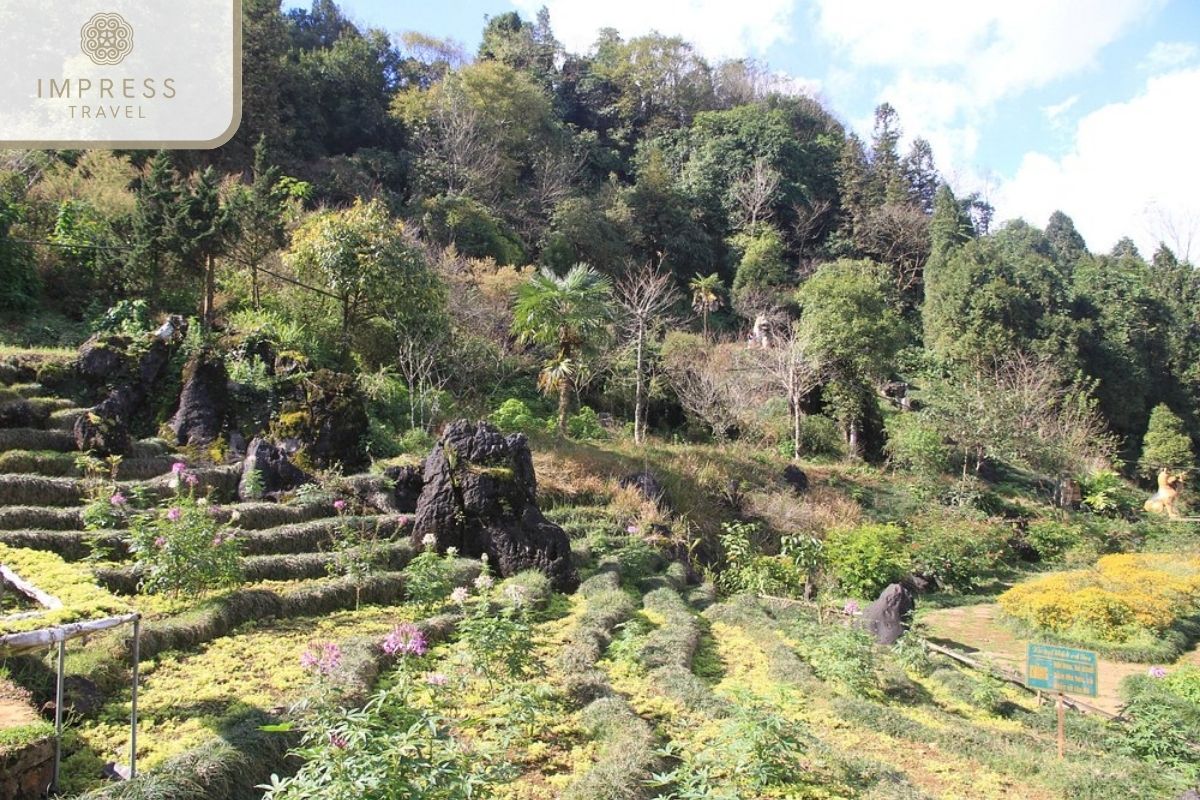 Ham Rong Mountain in Panoramic Views of Sapa from Ham Rong Mountain