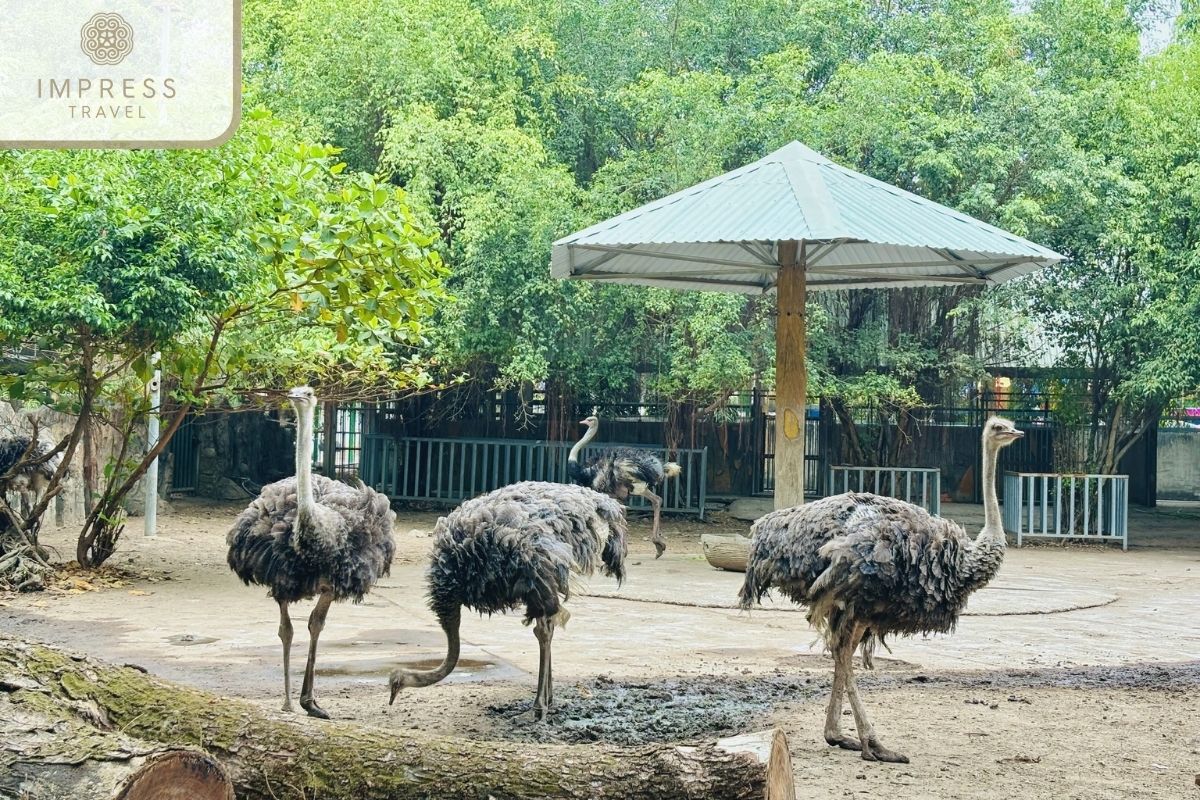 Exciting Family Tours at Saigon Zoo