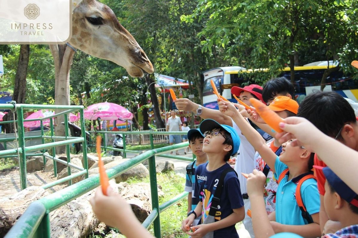 Interact with animals in Exciting Family Tours at Saigon Zoo