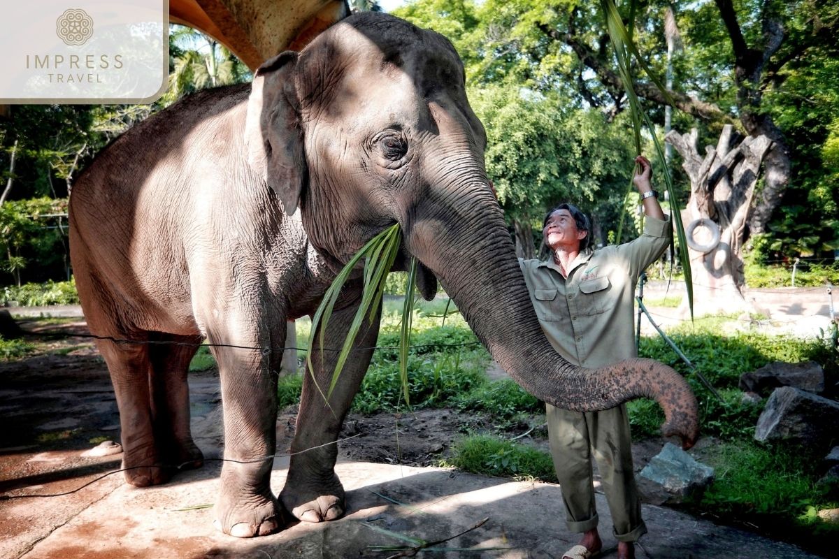 Animal Shows in Exciting Family Tours at Saigon Zoo