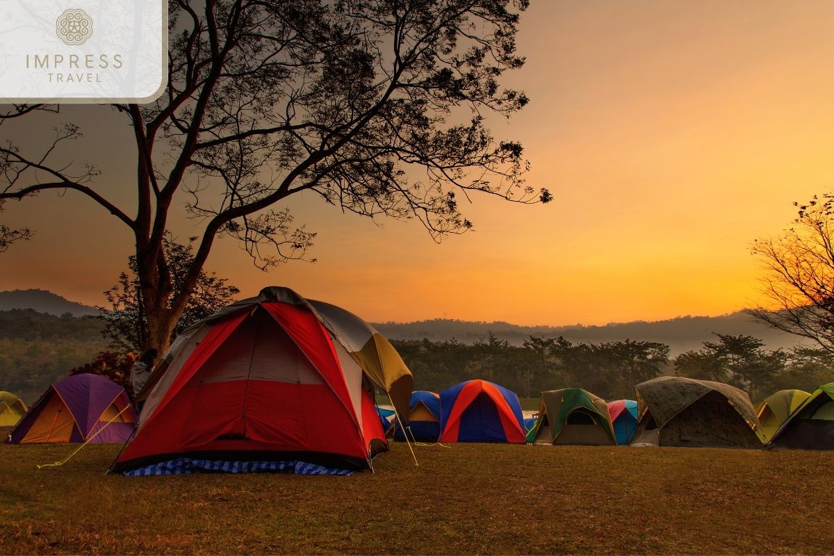 Camping in Nature at Han Cuon Dua Pine Hill