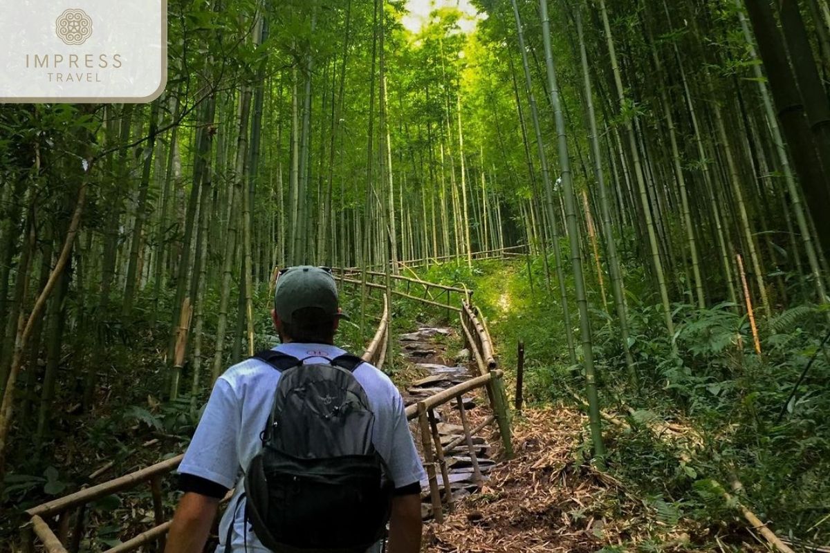 Pung Luong Bamboo Forest 