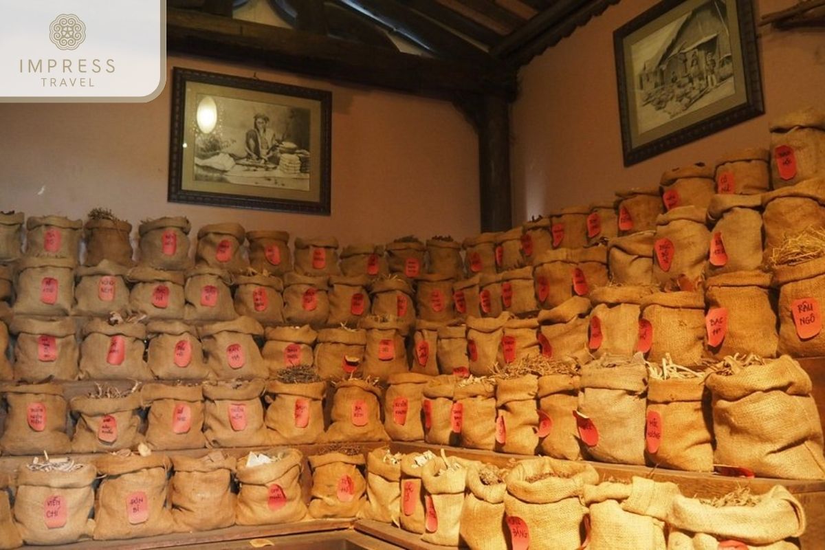 The Herbal Medicine Display in Museum of Vietnamese Traditional Medicine 