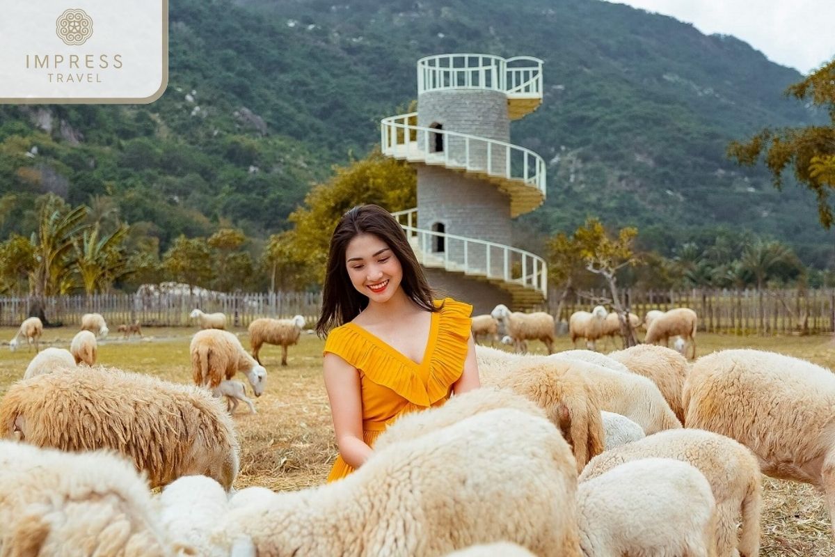 Taking Photos with the Friendly Sheep