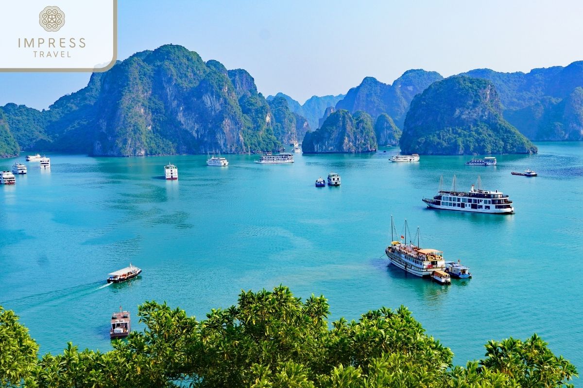 Panoramic view of Ha Long Bay in Halong Sky Tour