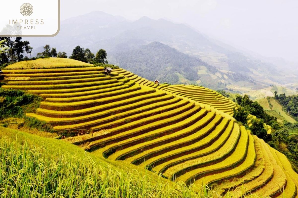 Na Thac Rice Terraces in Ha Giang Authentic Tour