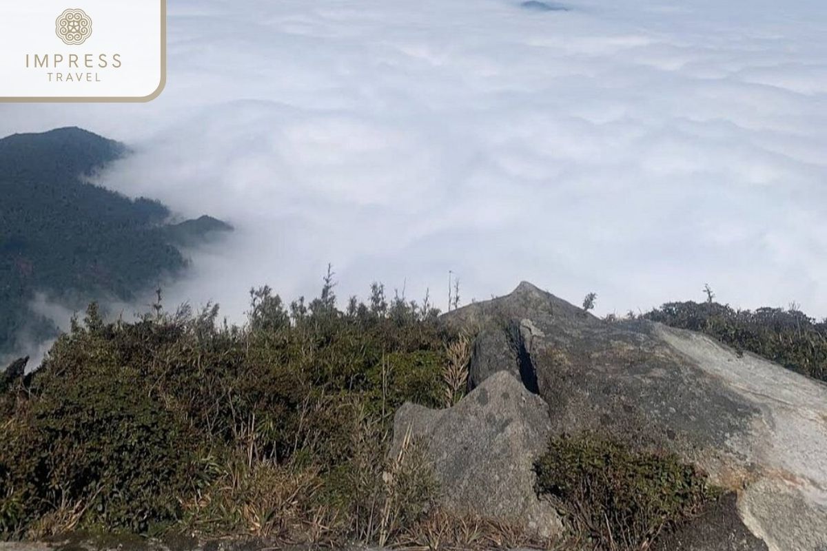 Watching the sea of ​​clouds