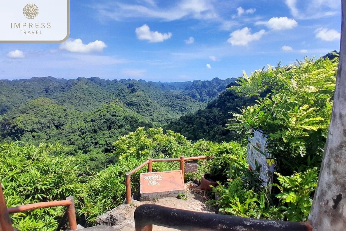 Cat Ba National Park in Halong Incredible Tours