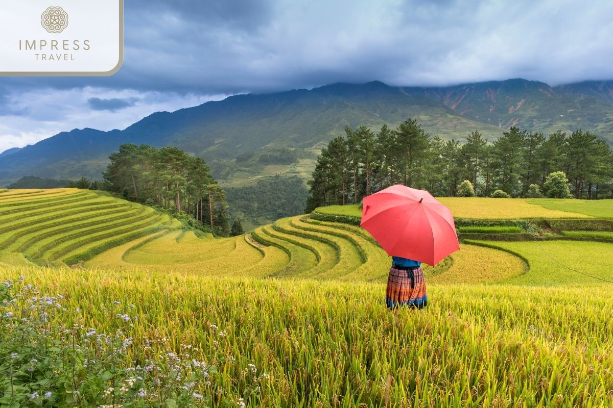 Check in terraced fields 